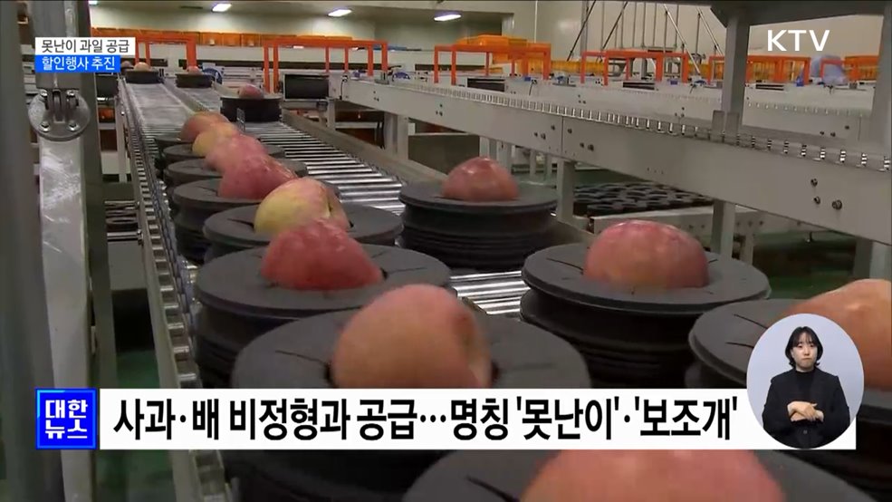 장바구니 물가 부담 낮춘다···못난이 과일 공급 [정책현장+]