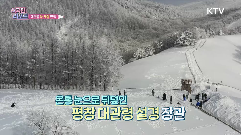 눈 구경 가자, 대관령 온통 눈 세상