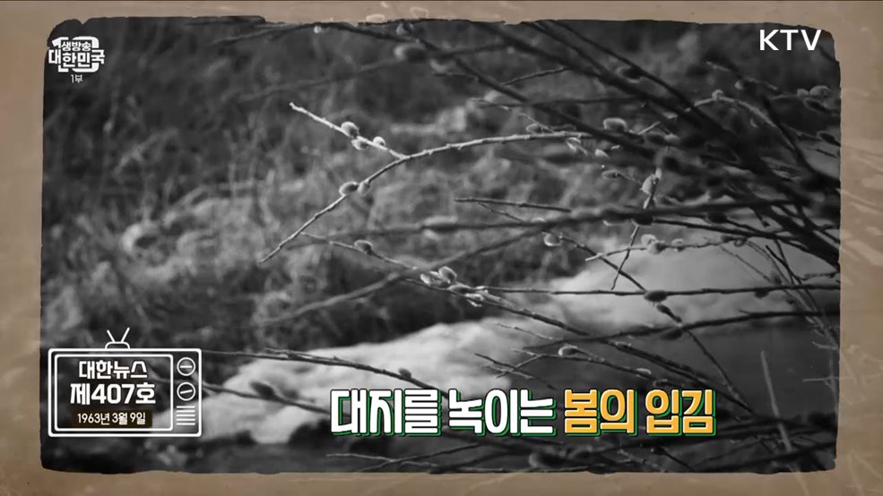 드디어 봄이 왔나 봄 그 시절 봄맞이 풍경 [라떼는 뉴우스]