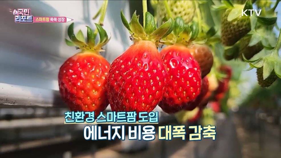 기후 영향 없는 '스마트팜' 쑥쑥 성장