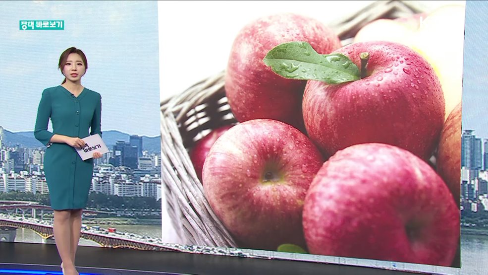 정책 바로보기 (372회)