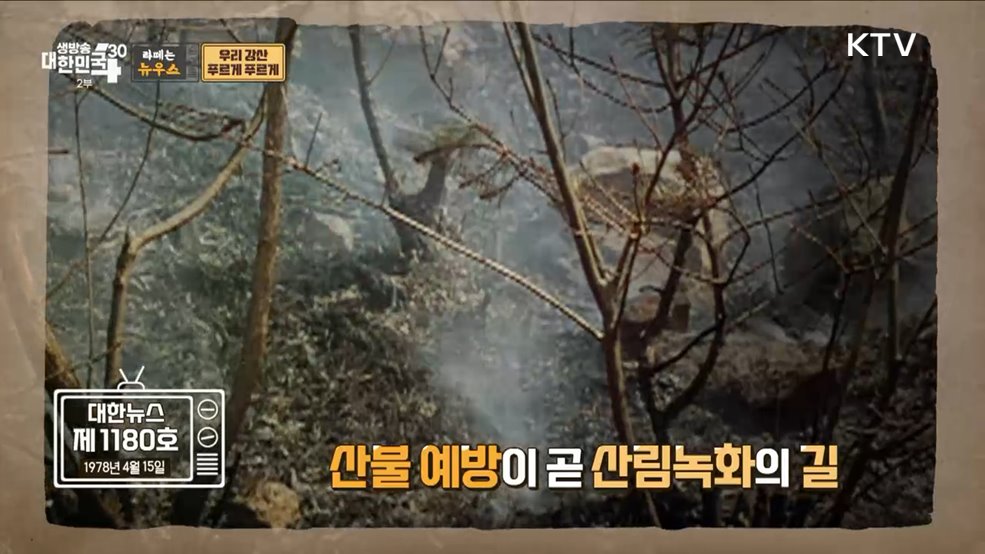 우리 강산 푸르게 푸르게 [라떼는 뉴우스]