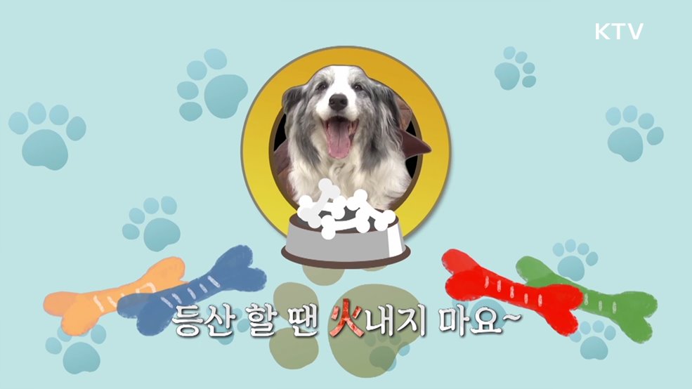 산불 예방을 위해 등산 시 지켜야 할 안전수칙 - 행정안전부