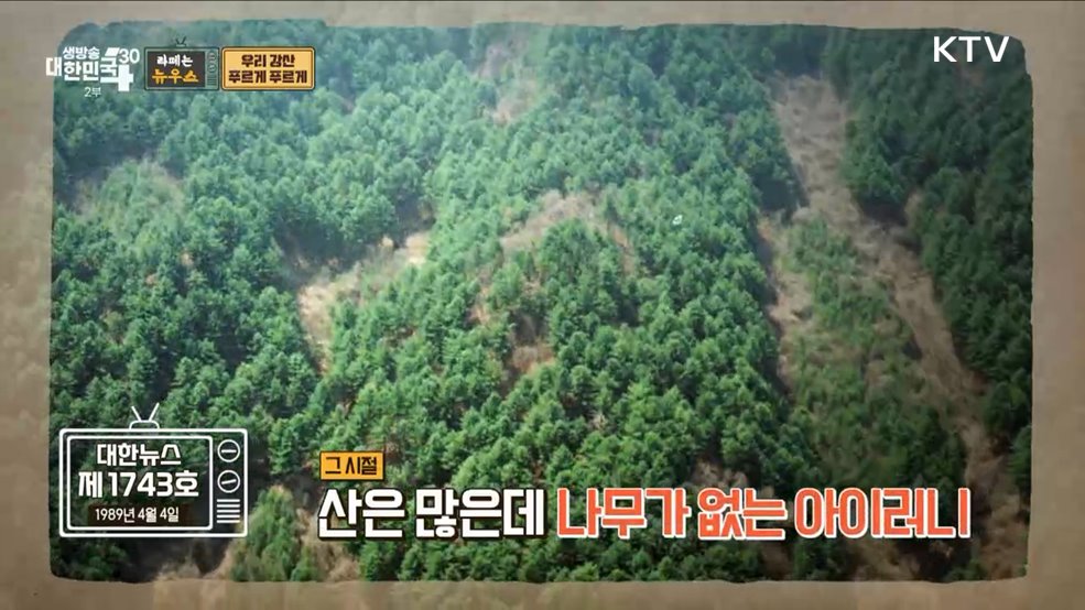 우리 강산 푸르게 푸르게 [라떼는 뉴우스]