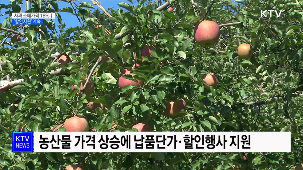 사과 소매가격 18% 하락···'할인지원' 계속