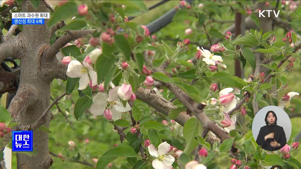 스마트 과수원 확대···"안정적 공급 기반 조성" [정책현장+]