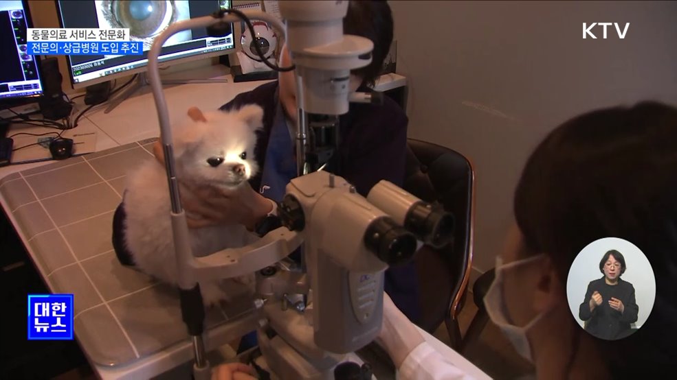 동물의료 서비스 전문화···'전문의·상급병원' 도입 추진