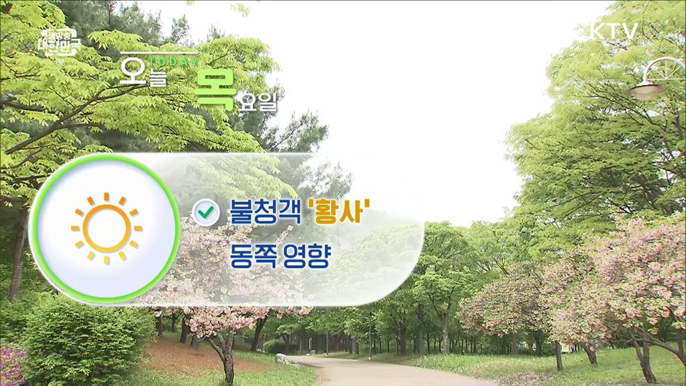 오늘의 날씨 (24. 04. 25. 10시)