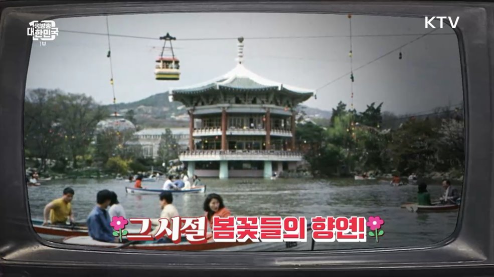 꽃송이가~ 꽃송이가~ 그 시절에도 그래그래 피었구나 [라떼는 뉴우스]