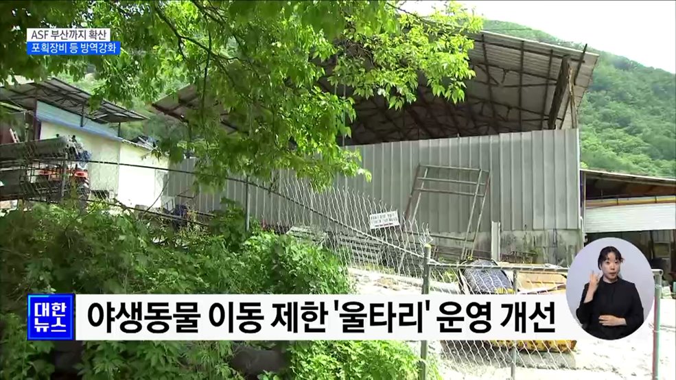 아프리카돼지열병 확산···포획장비 등 방역 강화