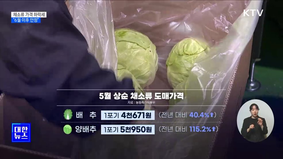 채소류 가격 하락세 전환···"6월 이후 안정"