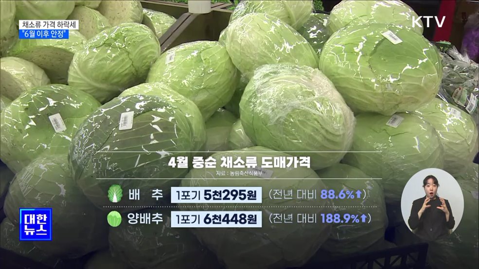 채소류 가격 하락세 전환···"6월 이후 안정"