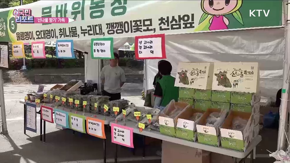 봄향기 솔솔, 강원 산나물 축제 풍성