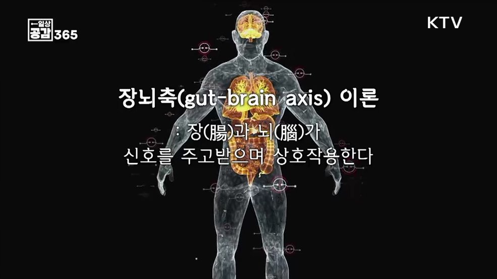 우리의 식습관이 좌우하는 장 건강 [일상공감 365]