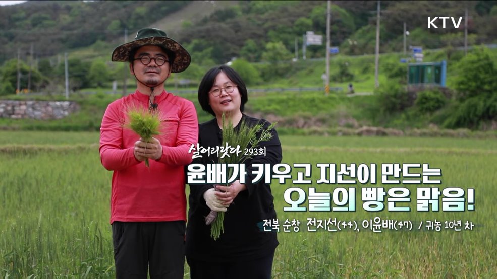 윤배가 키우고 지선이 만드는 오늘의 빵은 맑음!