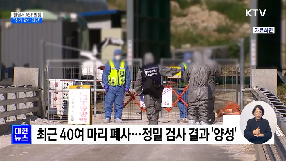4개월 만에 철원서 ASF 발생···"추가 확산 차단"