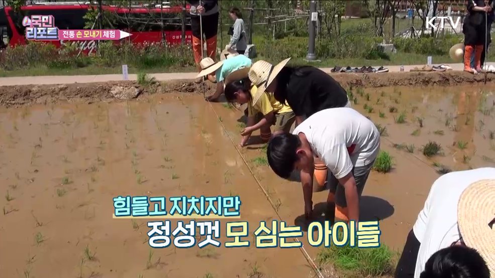 전통 '손 모내기 체험' 농업의 소중함 배워