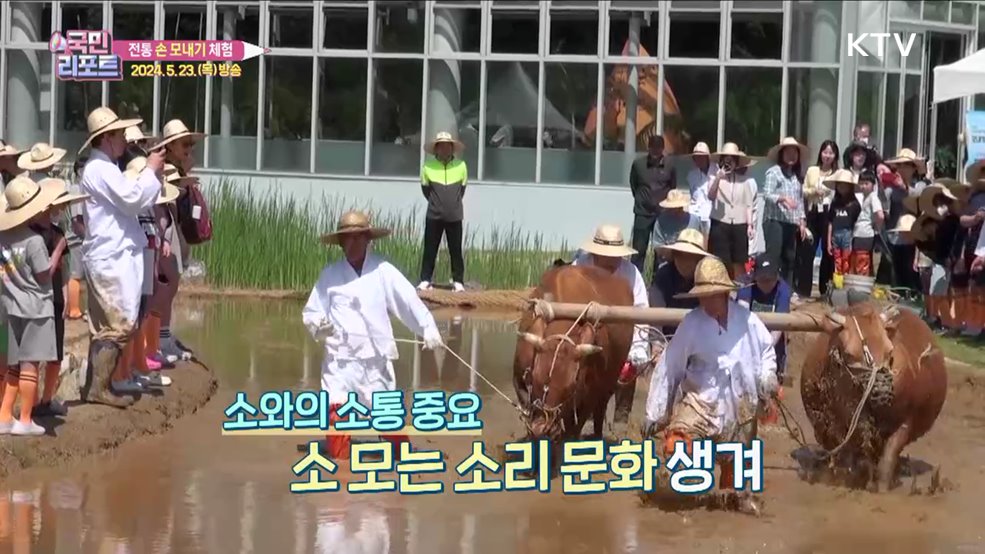 전통 '손 모내기 체험' 농업의 소중함 배워