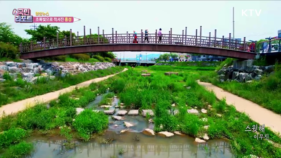 초록빛으로 적셔진 홍성 [한국의 美]