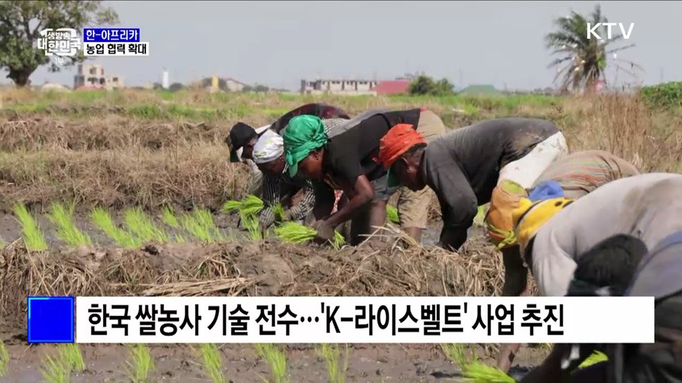 농업 협력 확대···"아프리카에 K-농업 확산"