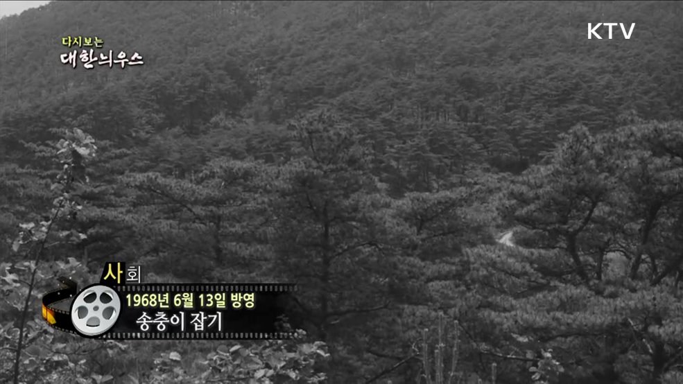 다시보는 대한늬우스 (68. 6. 13.)