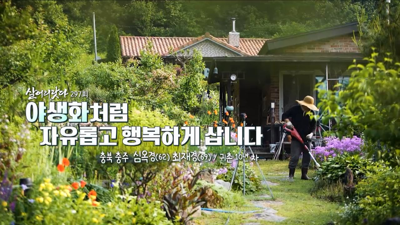 야생화처럼 자유롭고 행복하게 삽니다