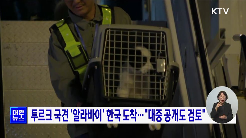 투르크 국견 '알라바이' 한국 도착···"대중 공개도 검토"