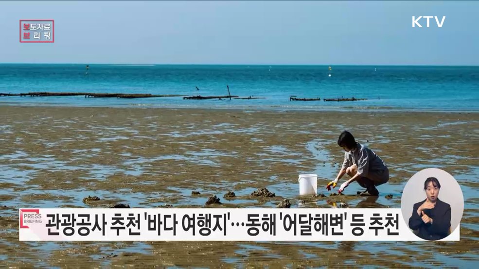 여름이면 바다지! 제철 맞은 여름 바다로의 여행