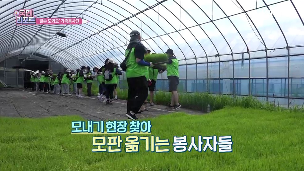 가족봉사단 출동, 부족한 농촌 일손 도와요