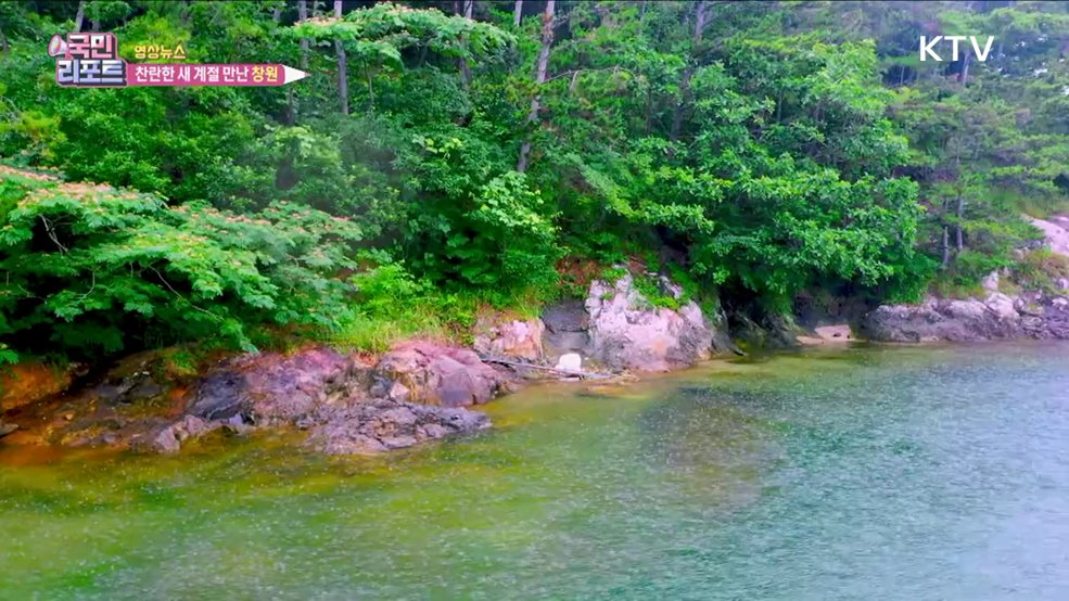 찬란한 새 계절 만난 창원 [한국의 美]