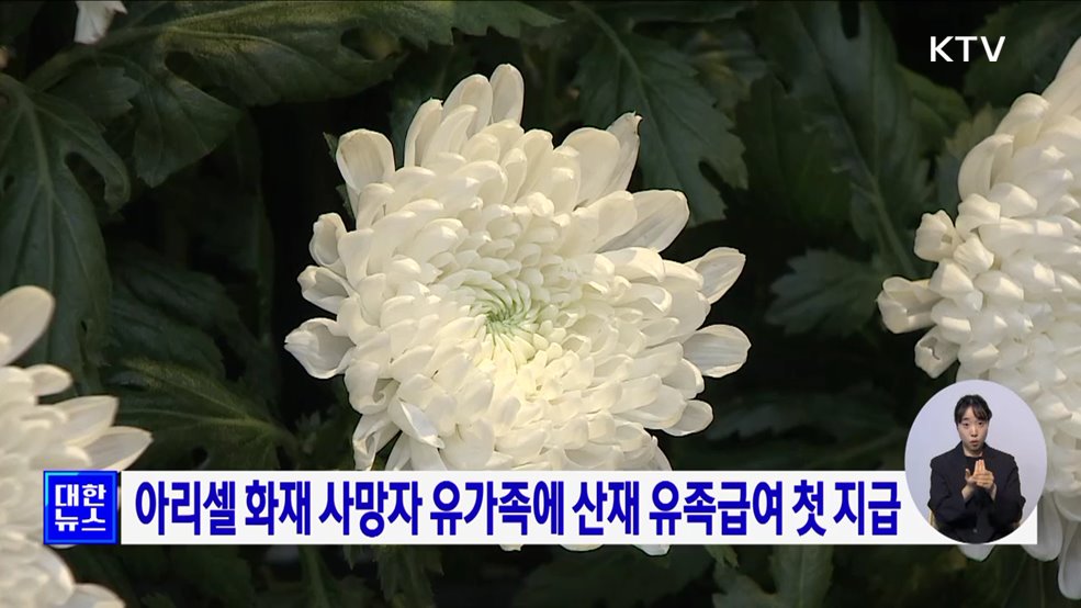 아리셀 화재 사망자 유가족에 산재 유족급여 첫 지급