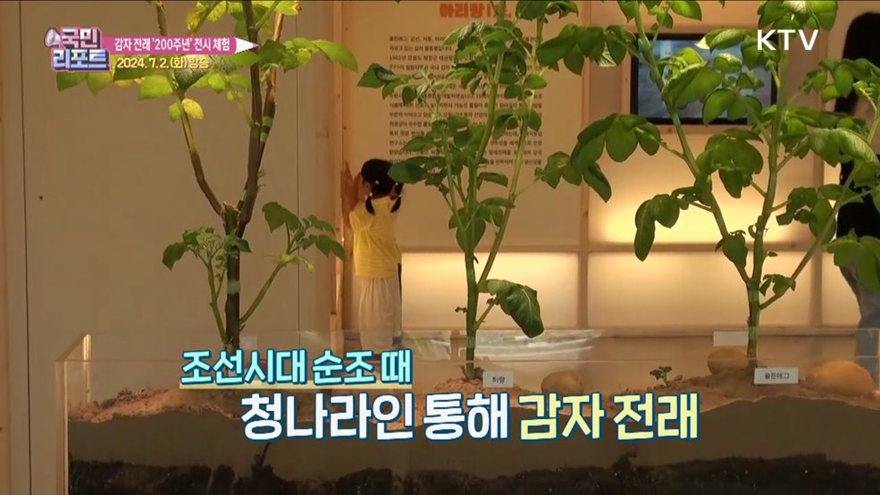 감자 전래 200주년 "다양한 체험 좋아요