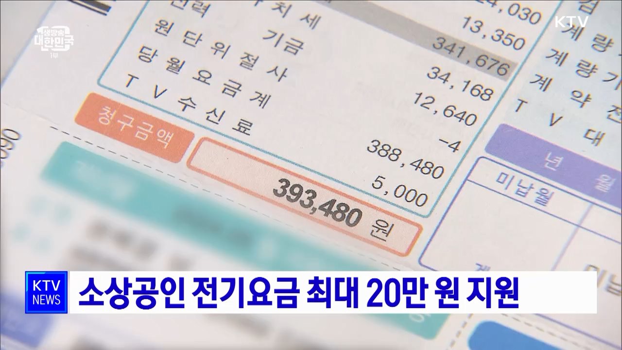 소상공인 전기요금 최대 20만 원 지원