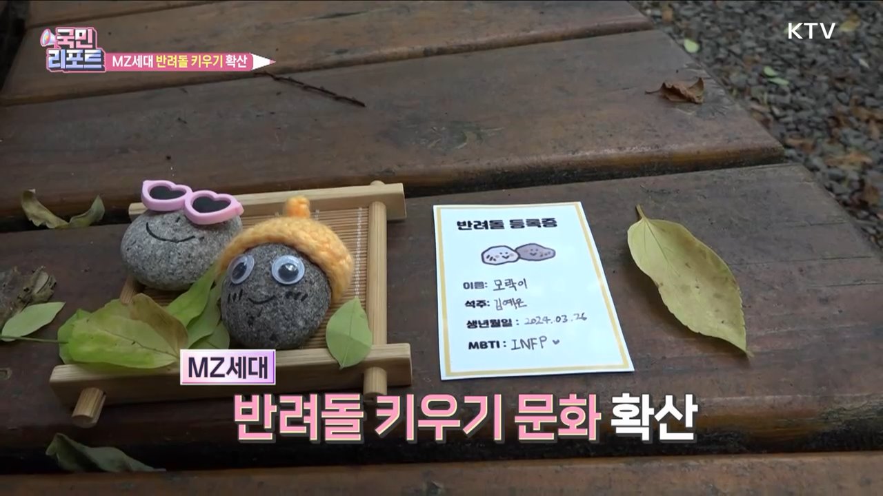 마음 평안 얻어, MZ세대 '반려돌 키우기' 확산
