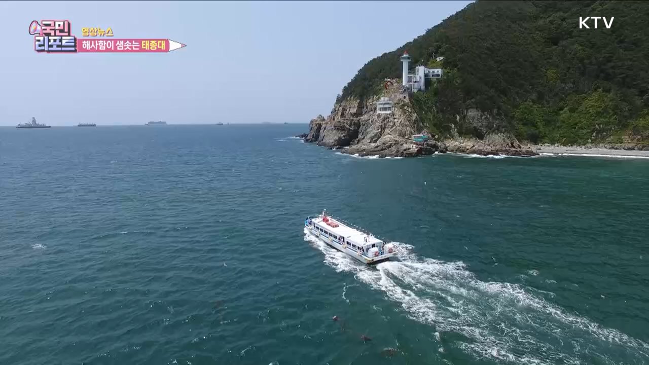 해사함이 샘솟는 태종대 [한국의 美]