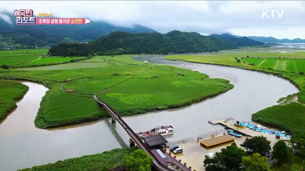 초록빛 설렘 불어온 순천만 [한국의 美]
