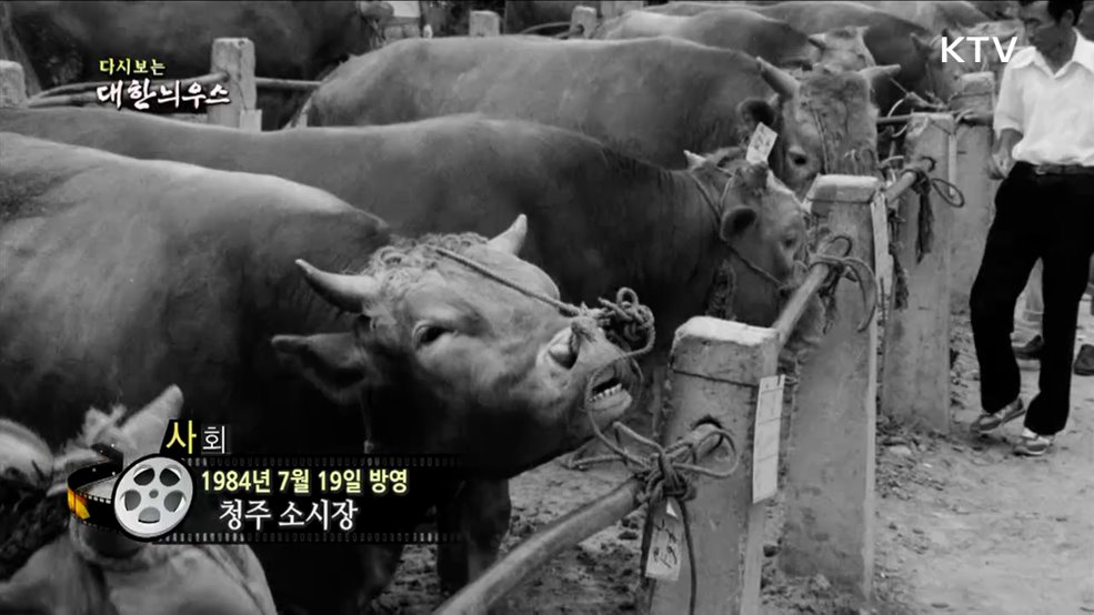 다시보는 대한늬우스 (84. 7. 19.)