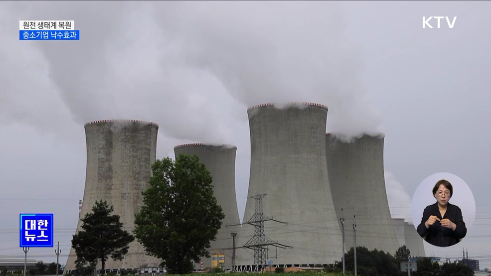 원전 생태계 복원 탄력···"낙수효과 기대"