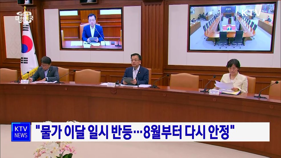 "물가 이달 일시 반등···8월부터 다시 안정"