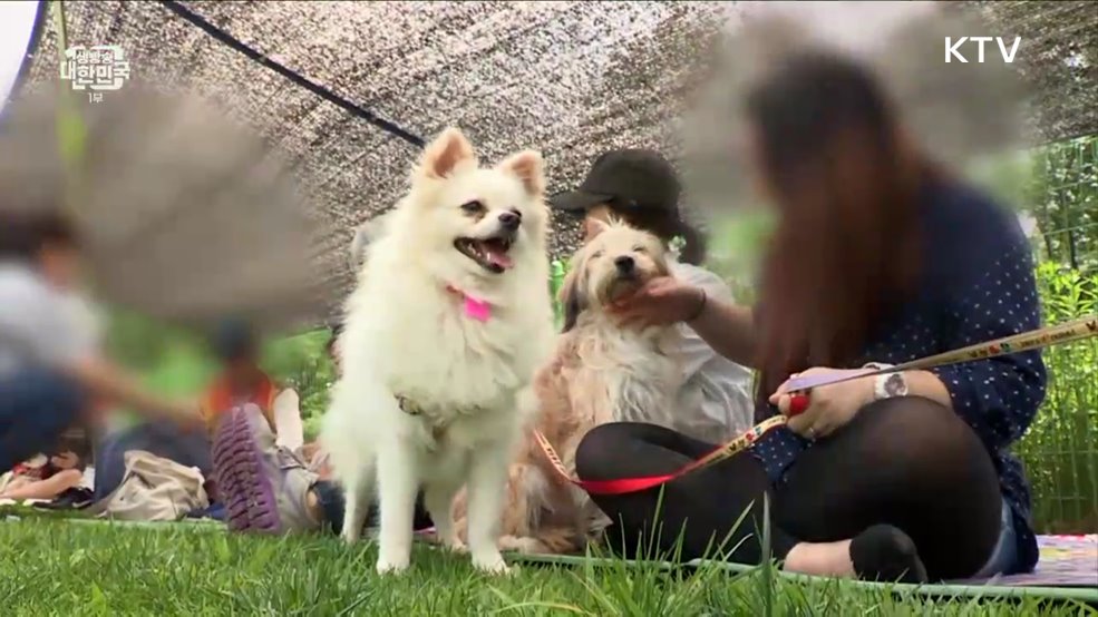 반려동물 "사지 말고 입양하세요" [돈이 보이는 VCR]