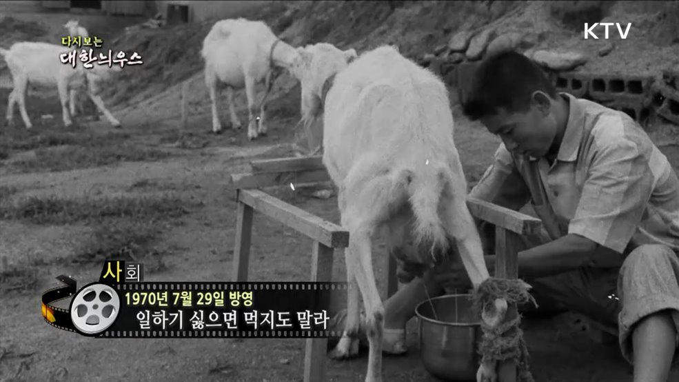 다시보는 대한늬우스 (70. 7. 29.)