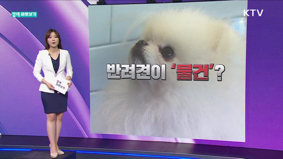 정책 바로보기 (468회)