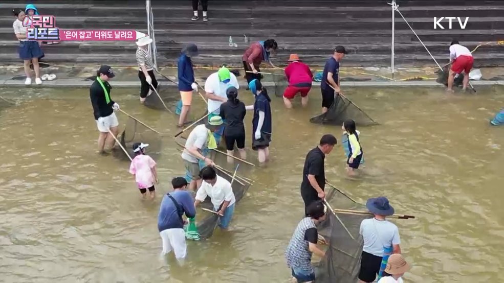 은어 잡고 더위 식혀요, 봉화 은어축제 성황