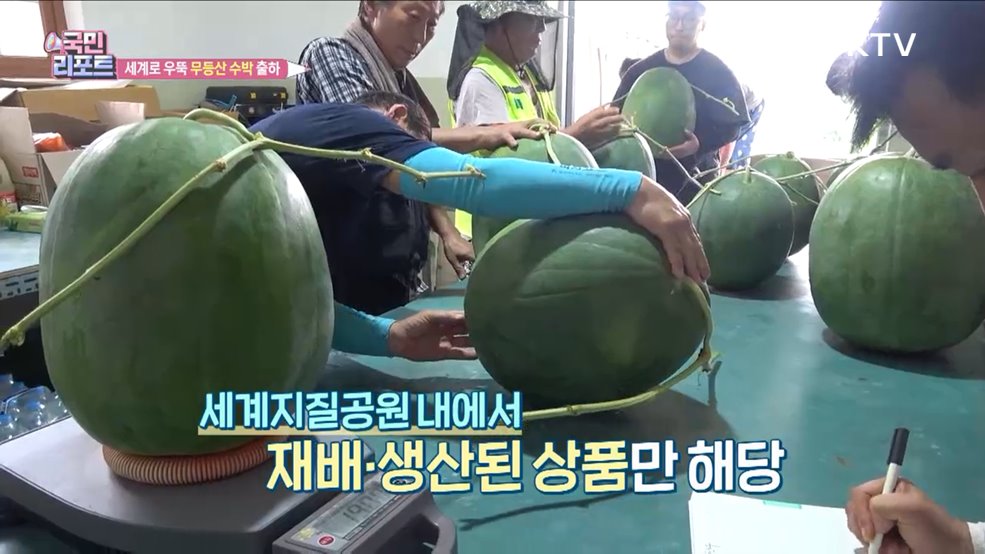 국제적 상표 지오푸드 등록 '무등산 수박' 출하