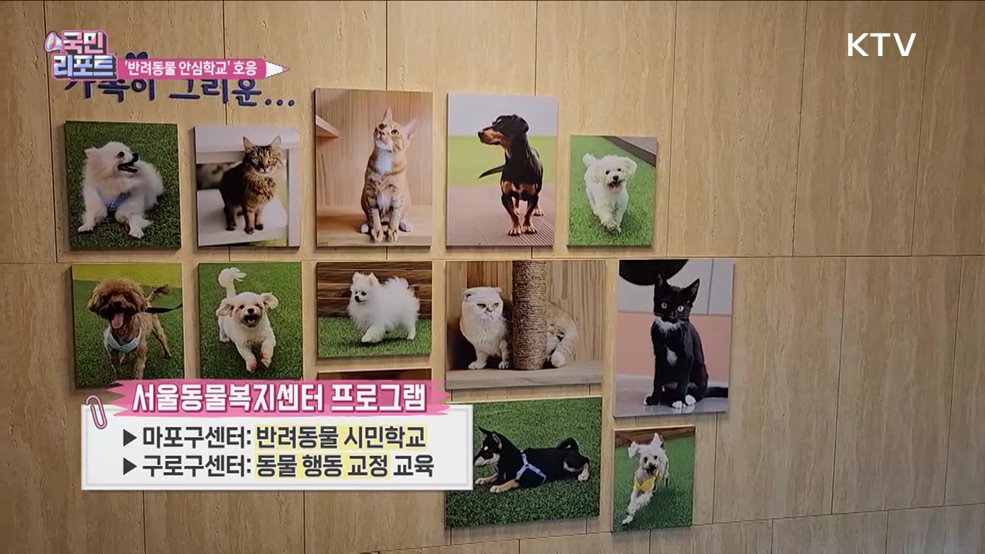 동물과 함께하는 행복 '반려동물 안심학교'