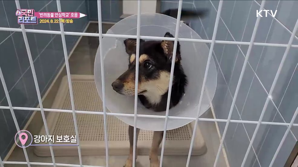 동물과 함께하는 행복 '반려동물 안심학교'