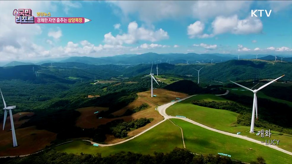 경쾌한 자연 춤추는 삼양목장 [한국의 美]