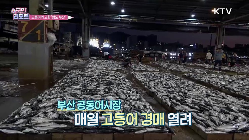 노릇노릇 '고갈비' 고등어 고장 부산 알린다