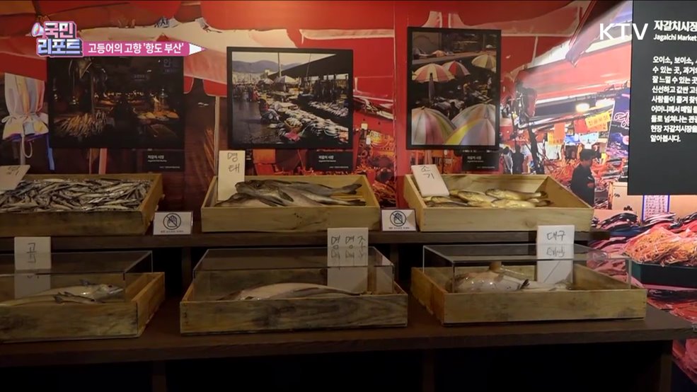 노릇노릇 '고갈비' 고등어 고장 부산 알린다