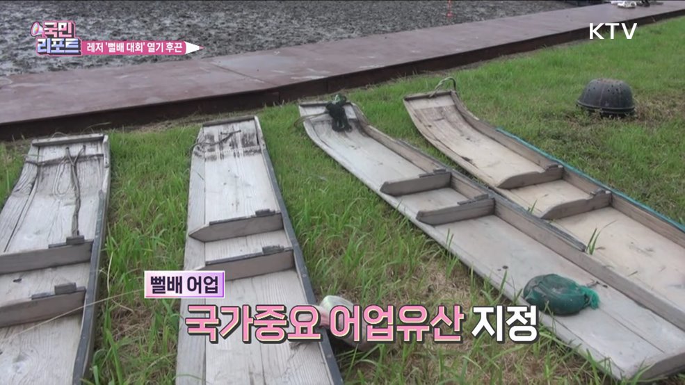 국가중요 어업유산 '뻘배 대회' 관심 끌어